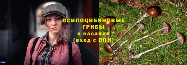 наркотики Алексин