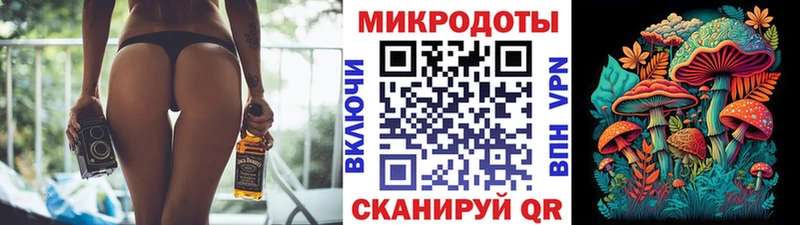 где найти   Медынь  Галлюциногенные грибы MAGIC MUSHROOMS 